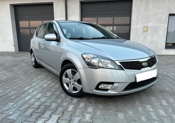 kia Kia Ceed cena 17900 przebieg: 172156, rok produkcji 2009 z Łuków